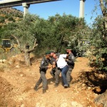 FOTO/VIDEO. Beit Jala contro il Muro