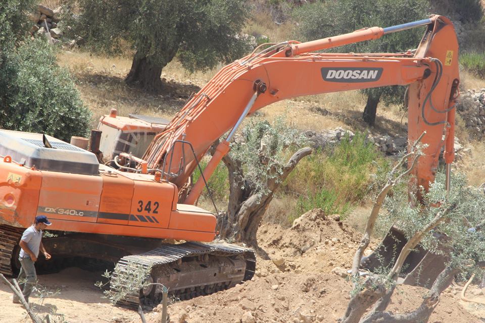 I bulldozer in azione ieri a Cremisan (Foto: Society of St. Yves)