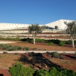 PALESTINA. A Birzeit il primo grande museo realizzato sotto occupazione 